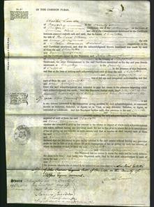 Court of Common Pleas - Charlotte Ellison and Georgiana Hanmer-Original Ancestry