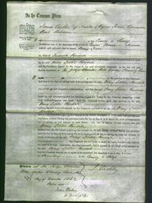 Court of Common Pleas - Mary Letitia Kendall-Original Ancestry