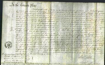 Court of Common Pleas - Jemima Farrand-Original Ancestry