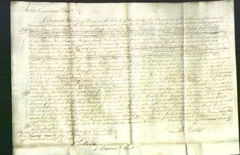 Court of Common Pleas - Ellen Thorp, Harriet Drew, Francis Atcheson, Sarah Walker, Frances Grant and Sarah Reed Cousins-Original Ancestry