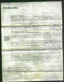 Court of Common Pleas - Mary Lavatt-Original Ancestry