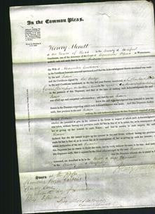 Court of Common Pleas - Susan Courison-Original Ancestry