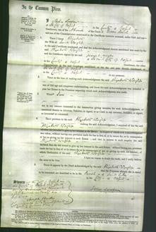 Court of Common Pleas - Elizabeth Wright-Original Ancestry