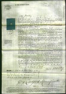 Court of Common Pleas - Margaret Ann Clark-Original Ancestry