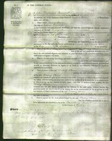 Court of Common Pleas - Mary Ann Tremble-Original Ancestry