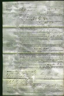 Court of Common Pleas - Mary Ann Parkes-Original Ancestry