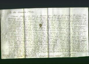 Court of Common Pleas - Antoinetta Kirman-Original Ancestry