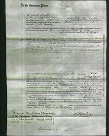 Court of Common Pleas - Phoebe Gurney-Original Ancestry