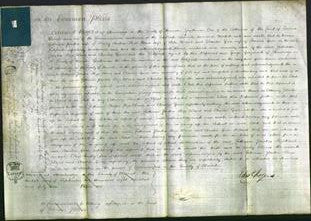 Court of Common Pleas - Catherine Parkes, Eliza Wood and Amelia Grice-Original Ancestry