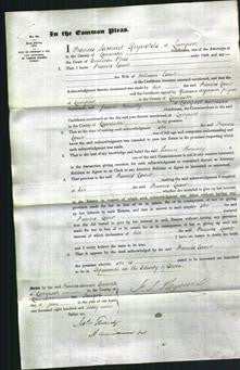 Court of Common Pleas - Frances Lamb-Original Ancestry