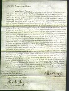 Court of Common Pleas - Mary Ann Farrow and Sarah Weston-Original Ancestry