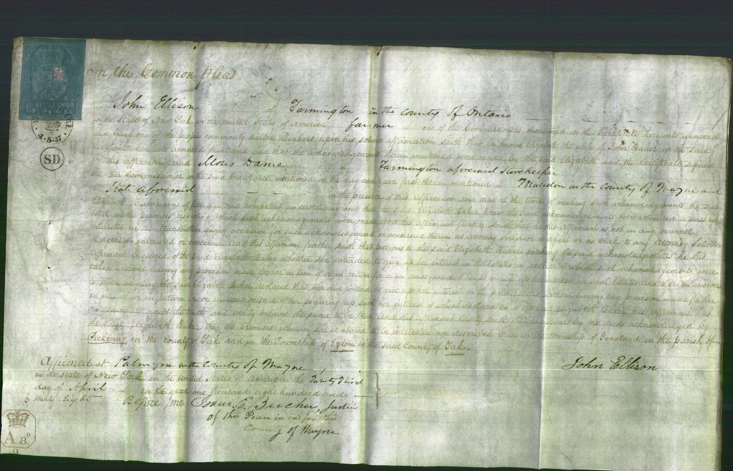 Court of Common Pleas - Elizabeth Baker