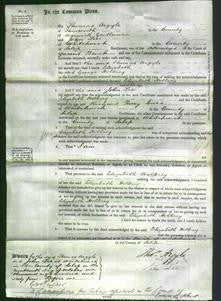 Court of Common Pleas - Elizabeth Holbrey-Original Ancestry