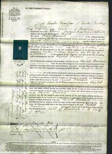 Court of Common Pleas - Elizabeth Borradaile-Original Ancestry