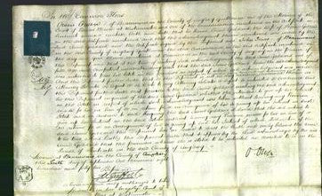 Court of Common Pleas - Anne Goddard-Original Ancestry