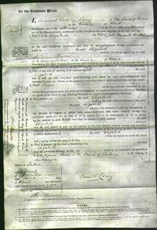 Court of Common Pleas - Elizabeth Hallett-Original Ancestry