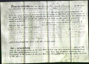 Deed by Married Women - Ann Pearce and Charlotte Masters-Original Ancestry