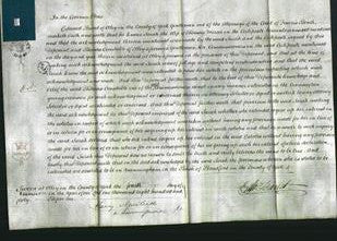 Court of Common Pleas - Sarah Mercer-Original Ancestry