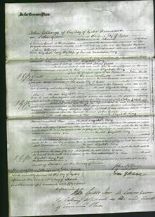 Court of Common Pleas - Elizabeth Long-Original Ancestry
