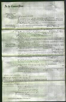 Court of Common Pleas - Charlotte Meddings-Original Ancestry
