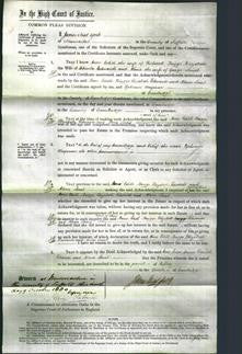 Court of Common Pleas - Anne Edith Briggs, Elizabeth Edwards and Alma Saint-Original Ancestry