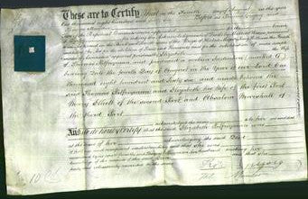 Deed by Married Women - Elizabeth Palfreyman-Original Ancestry