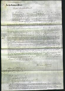 Court of Common Pleas - Mary Green-Original Ancestry