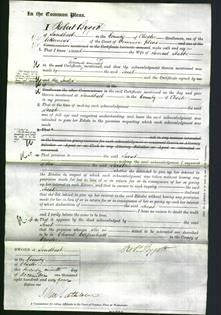 Court of Common Pleas - Sarah Stubbs-Original Ancestry