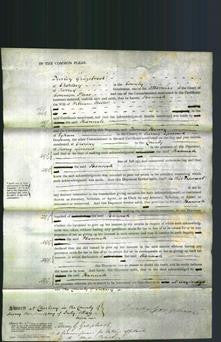 Court of Common Pleas - Hannah Miller-Original Ancestry