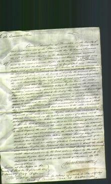 Court of Common Pleas - Susanna Hughes-Original Ancestry