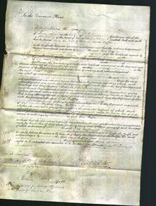 Court of Common Pleas - Jane Raffles-Original Ancestry