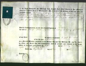 Appointment of Special Commissioners - William Godrey McCarthy, William Frederick McCarthy, John Joseph Donovan and Frederick Fanning-Original Ancestry