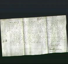 Deed by Married Women - Catherine Parkes, Eliza Wood and Amelia Grice-Original Ancestry