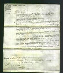 Court of Common Pleas - Amelia Johnson-Original Ancestry