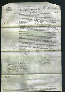 Court of Common Pleas - Rachael Gelder-Original Ancestry