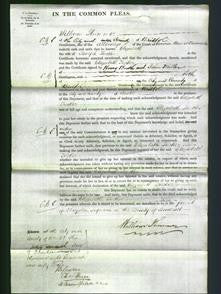 Court of Common Pleas - Elizabeth Tucker-Original Ancestry