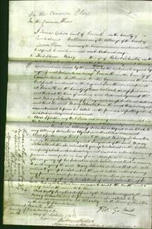 Court of Common Pleas - Mary Johnston