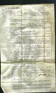 Court of Common Pleas - Sarah King Coombs-Original Ancestry