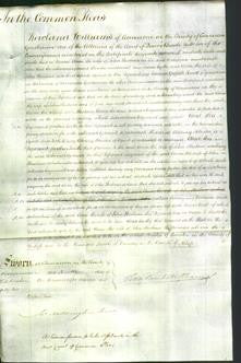 Court of Common Pleas - Anne Haslam-Original Ancestry