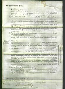 Court of Common Pleas - Elizabeth Basford-Original Ancestry