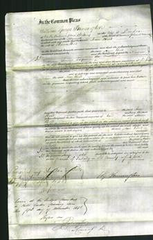 Court of Common Pleas - Ann Bird-Original Ancestry