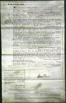 Court of Common Pleas - Charlotte Emma Clark, Kate Sophia Crisp-Original Ancestry