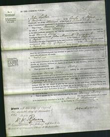 Court of Common Pleas - Fanny Pooley-Original Ancestry