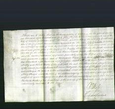 Court of Common Pleas - Mary Stueart-Original Ancestry