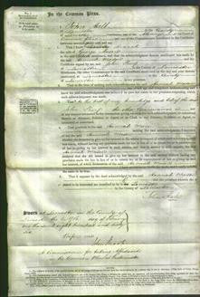 Court of Common Pleas - Hannah Mason-Original Ancestry