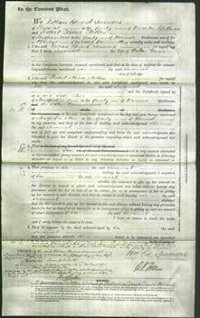 Court of Common Pleas - Susannah Davies-Original Ancestry