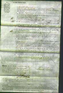 Court of Common Pleas - Jane Amphlett