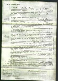 Court of Common Pleas - Elizabeth Lea-Original Ancestry