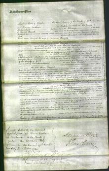 Court of Common Pleas - Alice Knight-Original Ancestry