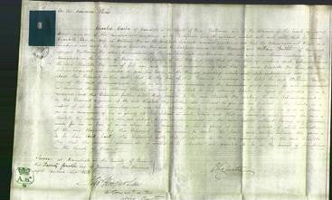 Court of Common Pleas - Charlotte Fry-Original Ancestry